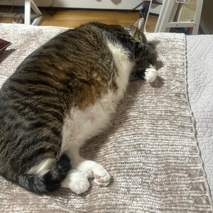 Meet your Posher, Samantha